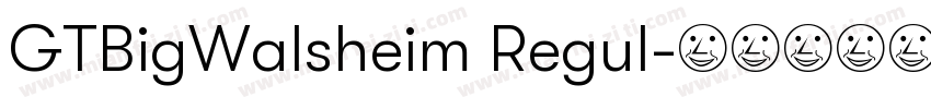 GTBigWalsheim Regul字体转换